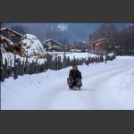 雪村溜爬犁