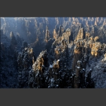 天子山雪景