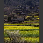 美丽乡村