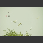 竞逐