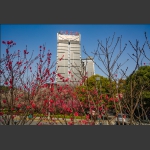 生态城市