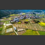 乡村春色