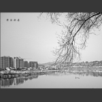 澧滨新居