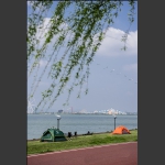 柳叶湖畔