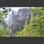 春到天子山2