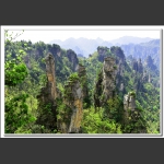 春到天子山3