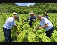 《税民一家亲，情系扶烟民》