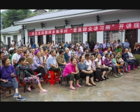 群情鼎沸