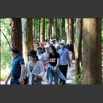 特殊时期的旅游