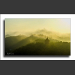 风景