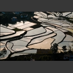 田园风光