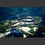 田园风光