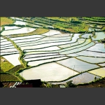 田园风光