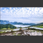 美丽家园