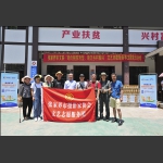 艺术家志愿者服务队