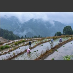 春忙季节