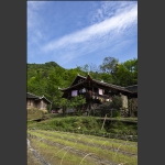 山里人家