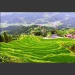 梯田深处是家园