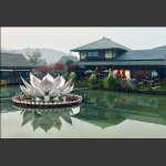 莲花