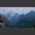 风景独好