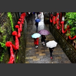 雨中行