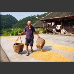 丰收的喜悦