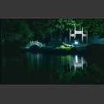 亭林夜画