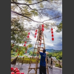 丰收节--红红的灯笼挂起来