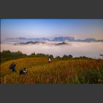 拍美景