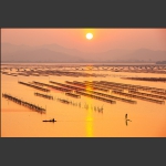 出海