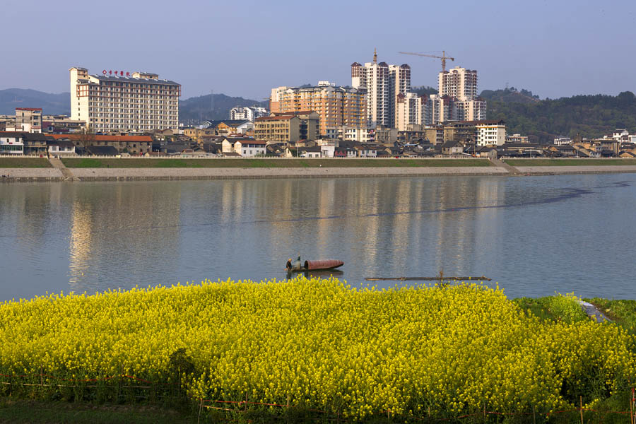 庸城春早