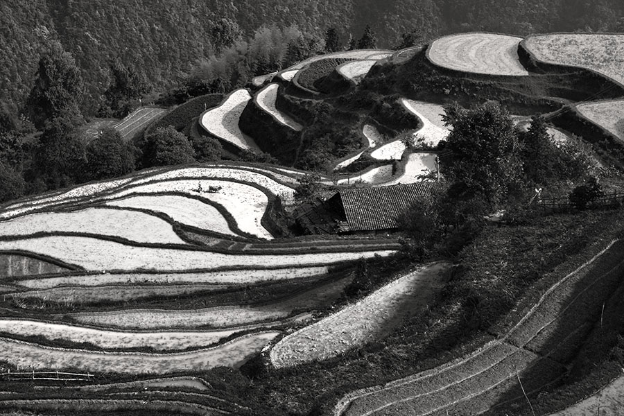 张家界大坪梯田