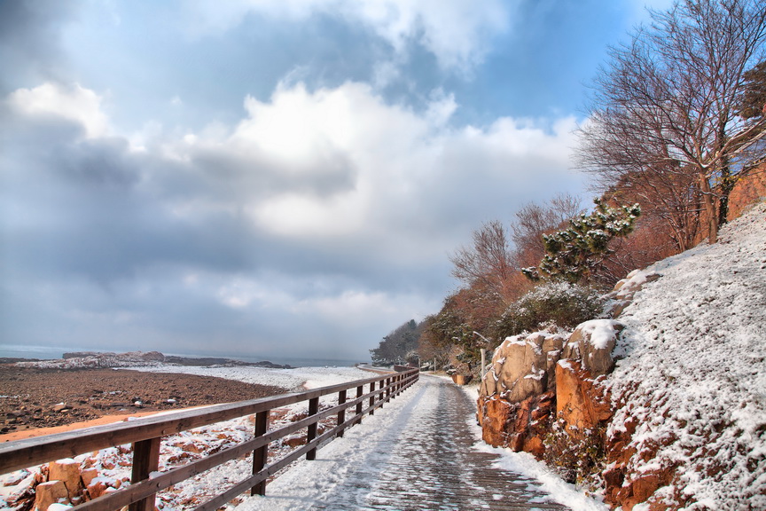 雪后八大关