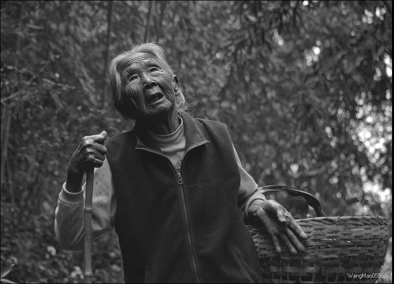 和鸟儿说话的老人
