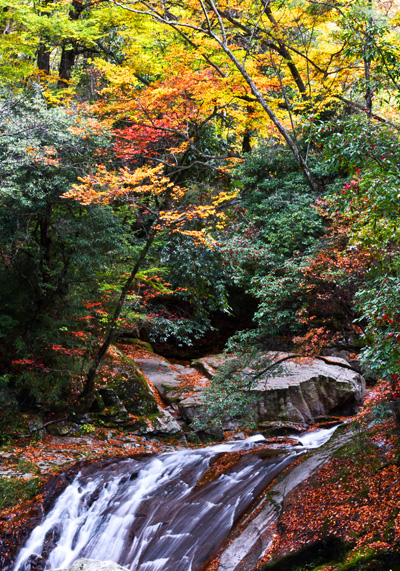 魅力光雾山