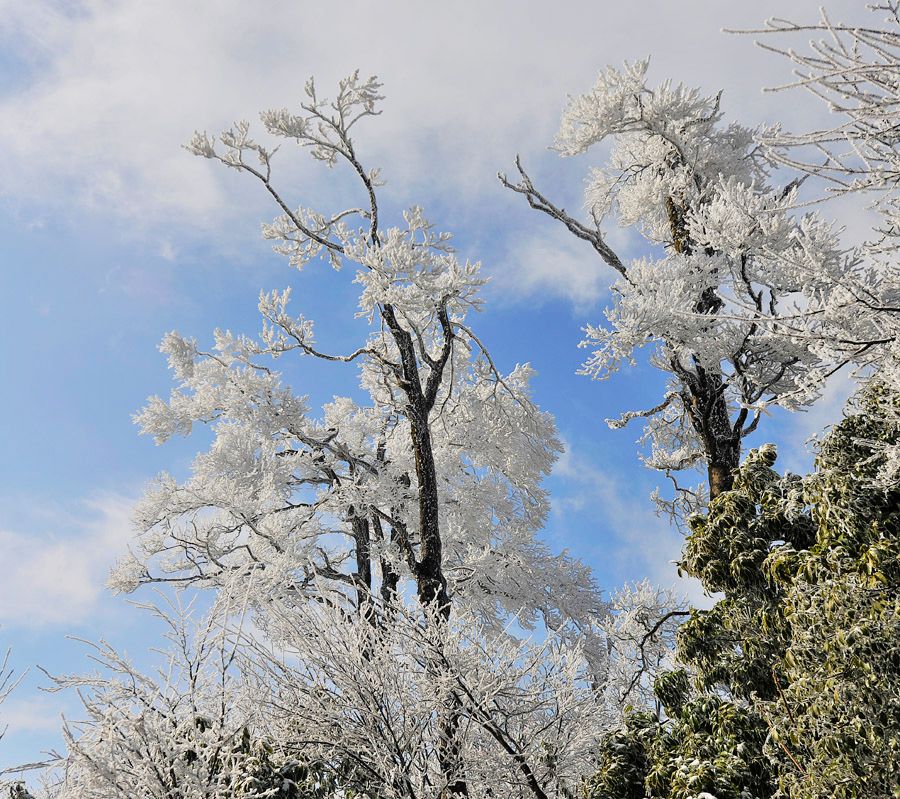 天门山雪