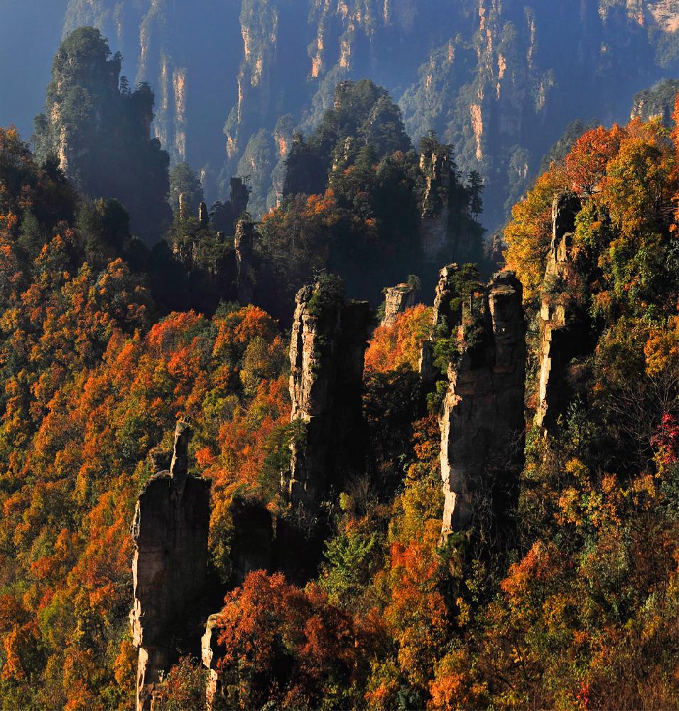 秋色满园