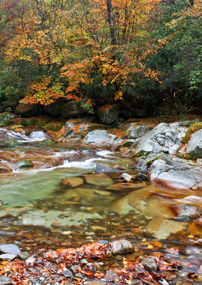 魅力光雾山
