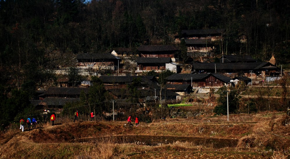深山老林有游人