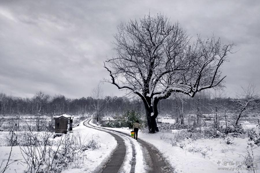 老村雪野