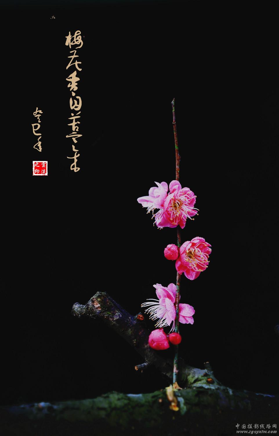 无题