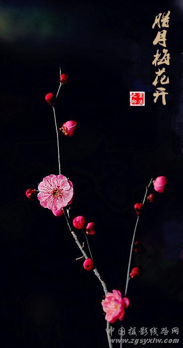 梅园诗赋