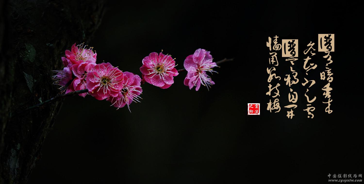 梅园诗赋