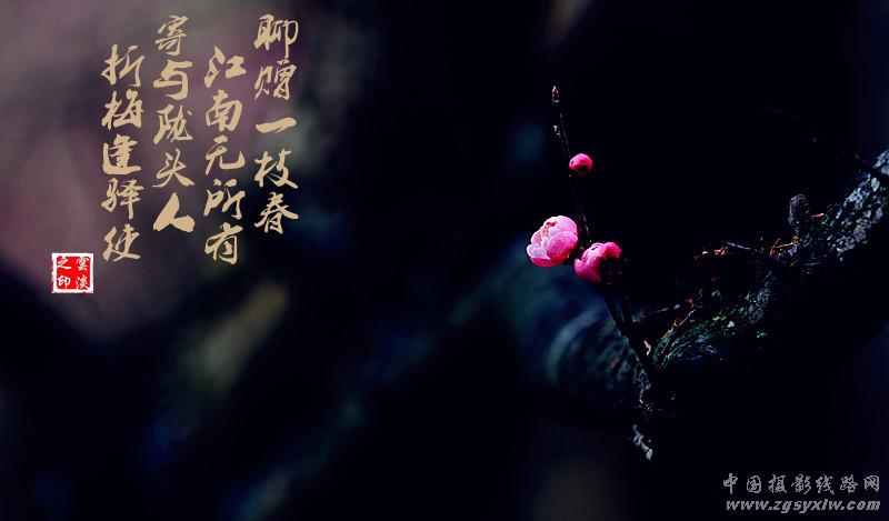 梅园诗赋