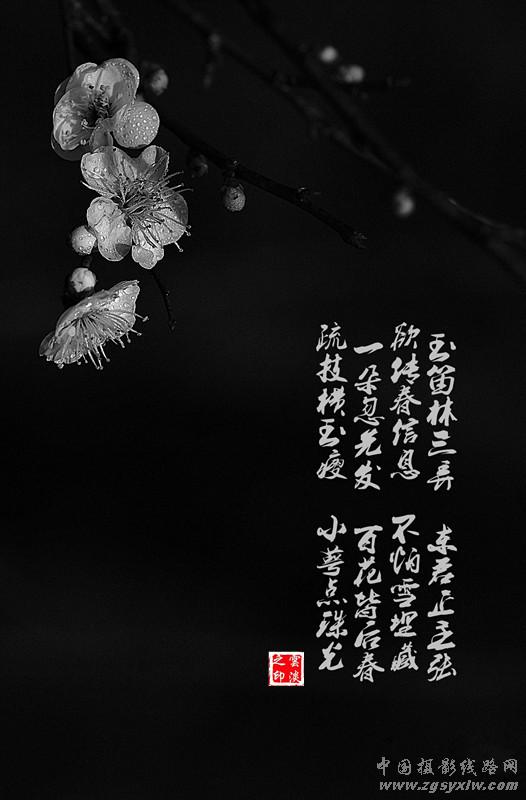 梅园诗赋