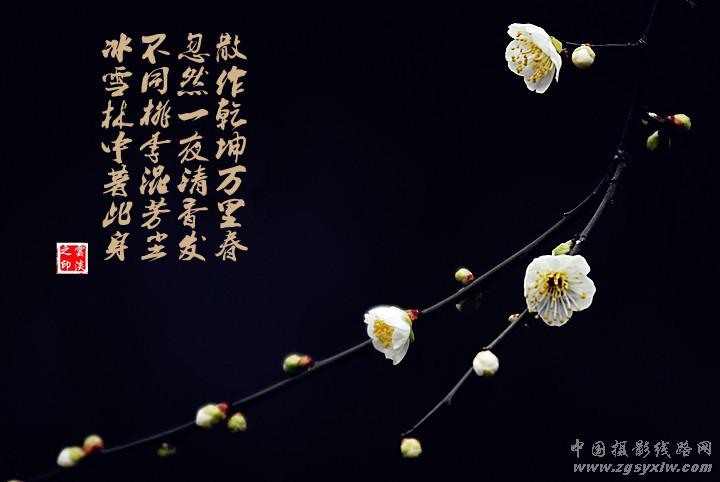 梅园诗赋