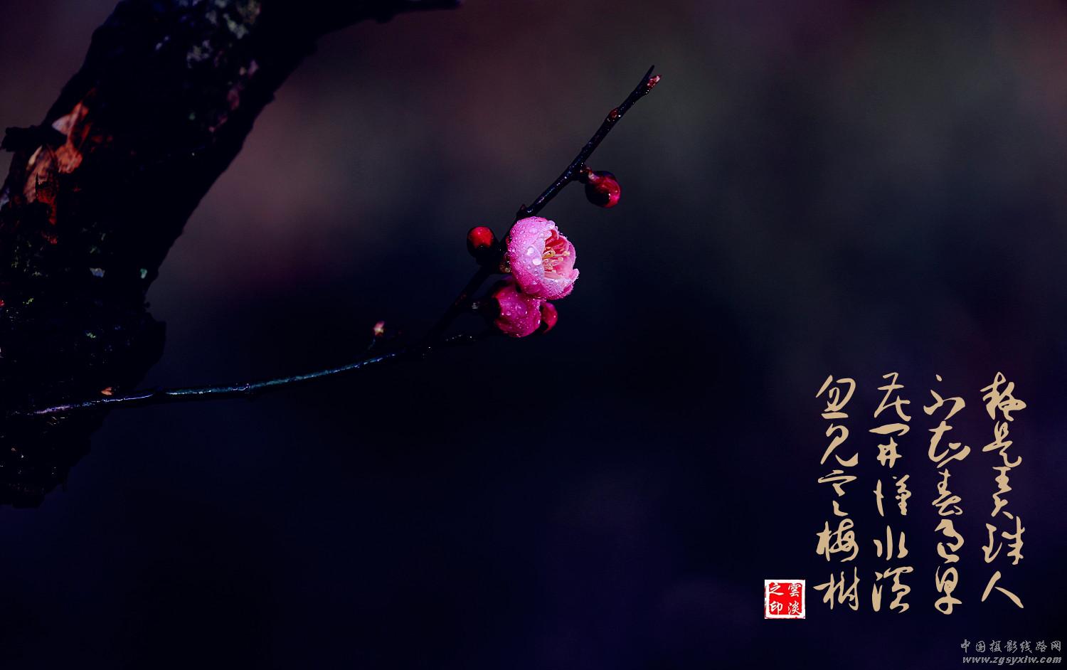 梅园诗赋