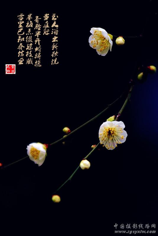 梅园诗赋