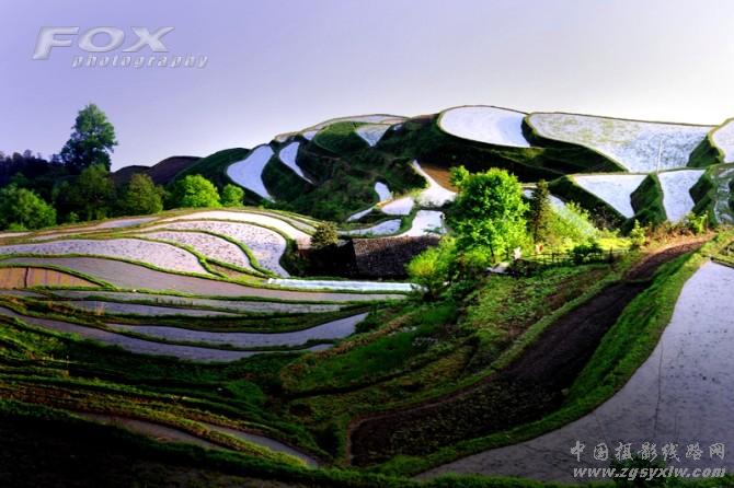 空中田园