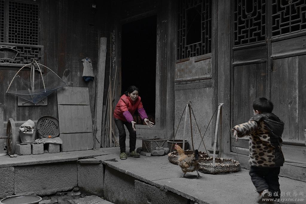 捉鸡鸡